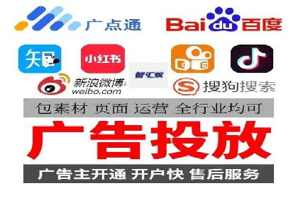 电商平台信息流广告的投放策略与效果评估案例
